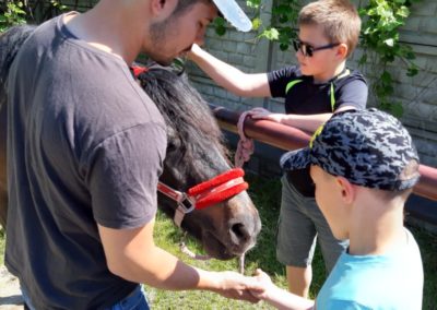 nieborów 19 klasa IV (1)