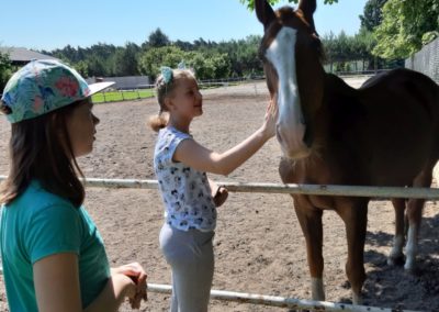 nieborów 19 klasa IV (13)