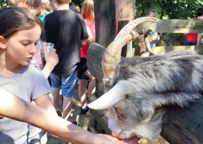 nieborów 19 klasa IV (8)