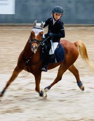 121611275_2713899698938358_2659413278874392256_n