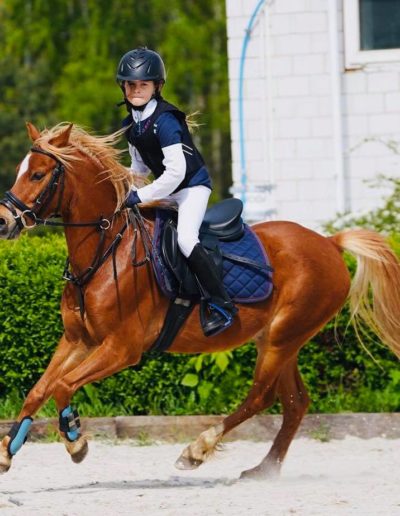 121967356_343076203453595_8611554238596961777_n